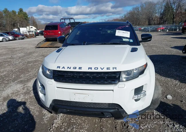 SALVT1BGXCH638283: 43770433