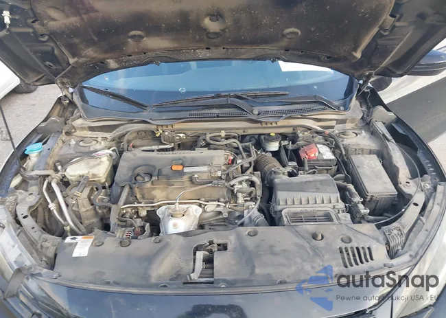 2HGFC4B81LH301888: 43769639