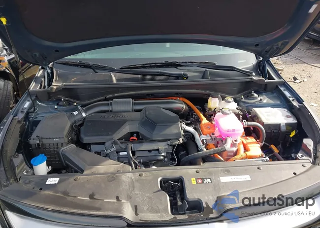 KNDPXCDG1S7240462: 43769662