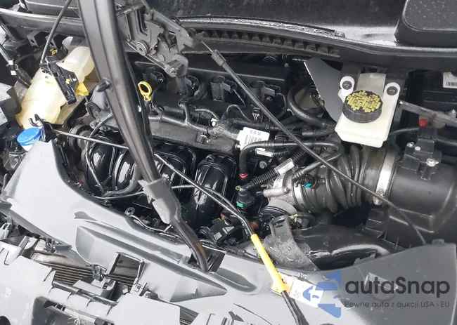 NM0GS9F78G1282083: 43770884