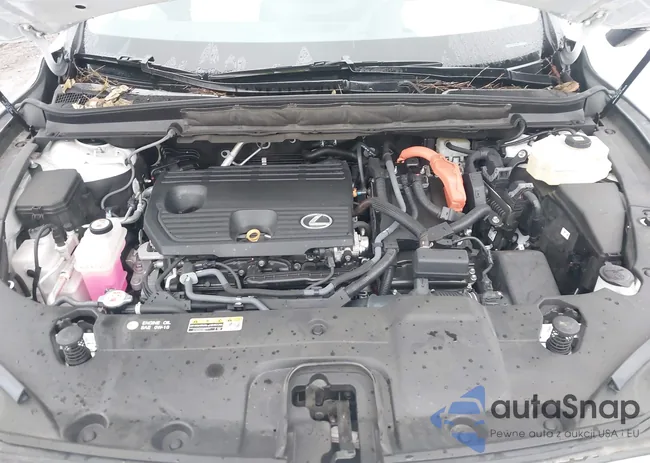 2T2BBMCA5PC021081: 43771656