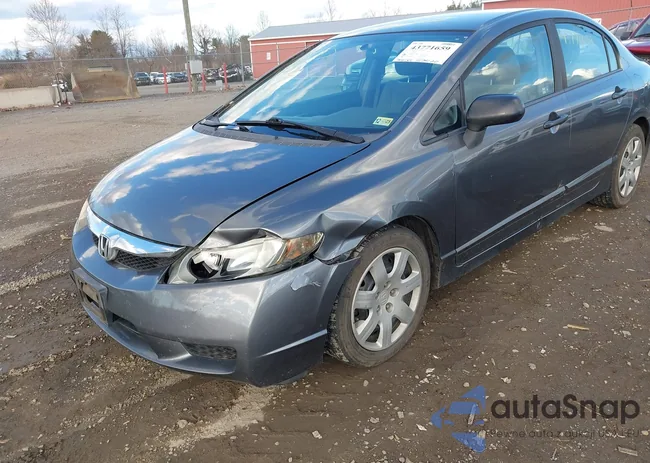 19XFA1F5XBE024056: 43771659