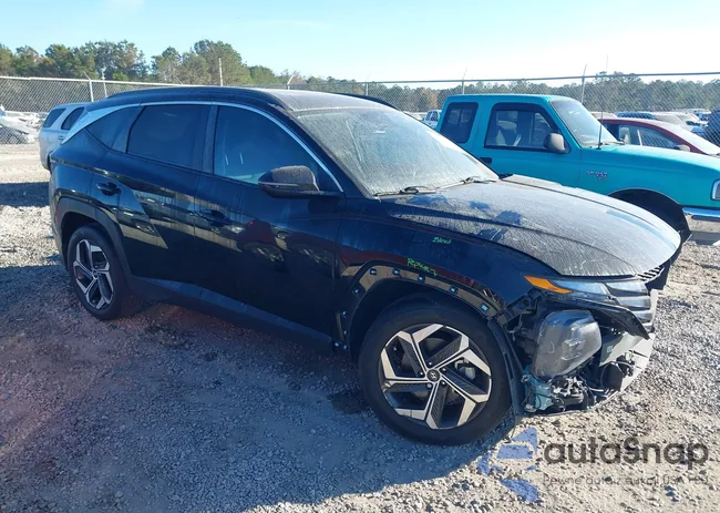 5NMJF3AEXPH270314: 43771953