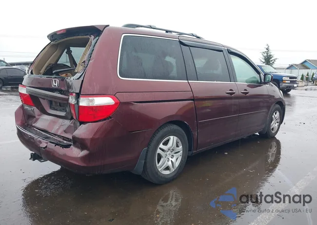 5FNRL38417B061649: 43772606