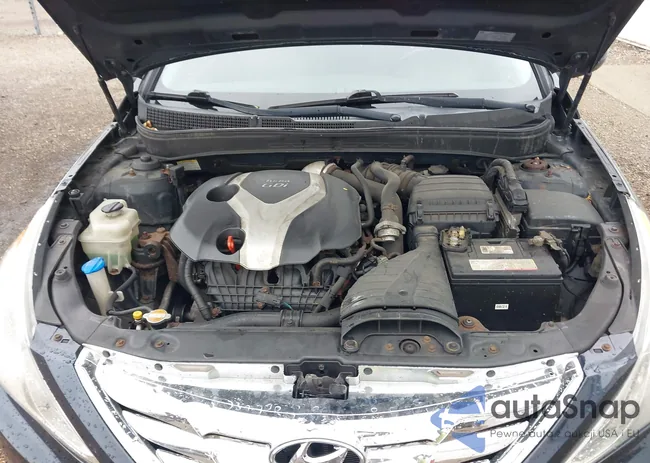 5NPEC4AB7DH523075: 43777386