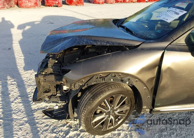 JM1DKBD77G0107877: 43777986