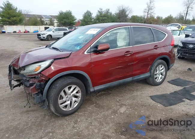 5J6RM4H56GL091524: 43778206