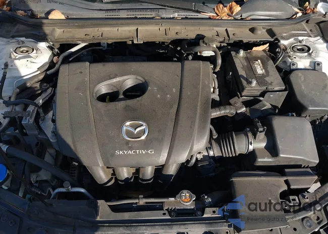 3MZBPAAL7KM106445: 43778403