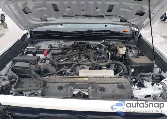 3TYLB5FNXRT001260: 43778499