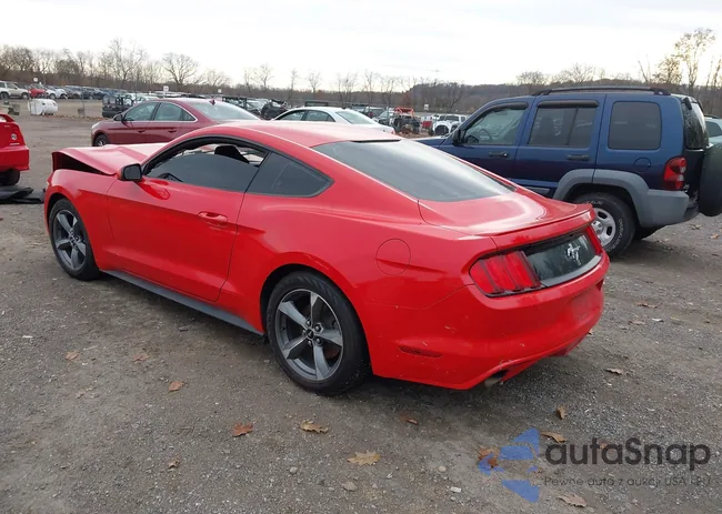 1FA6P8AM0G5337535: 43777694