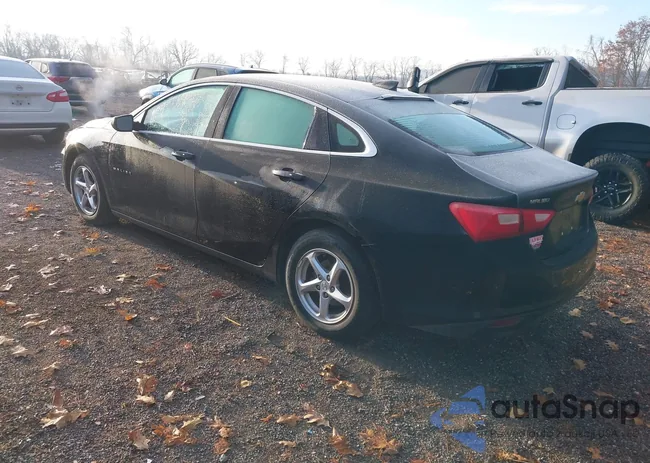 1G1ZB5ST9JF217253: 43777717