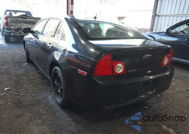 1G1ZB5E16BF251775: 43779396