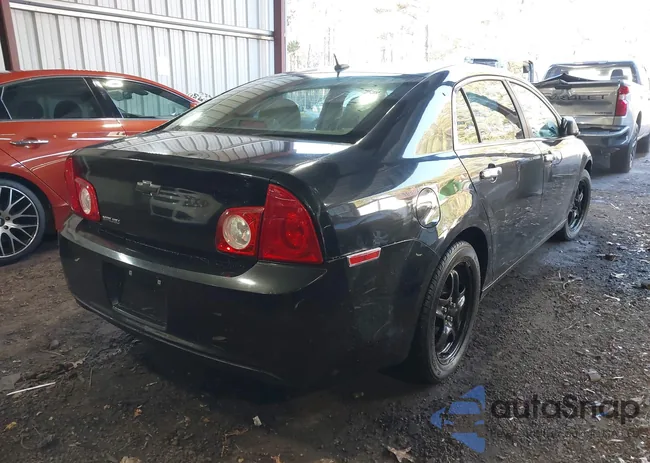 1G1ZB5E16BF251775: 43779396