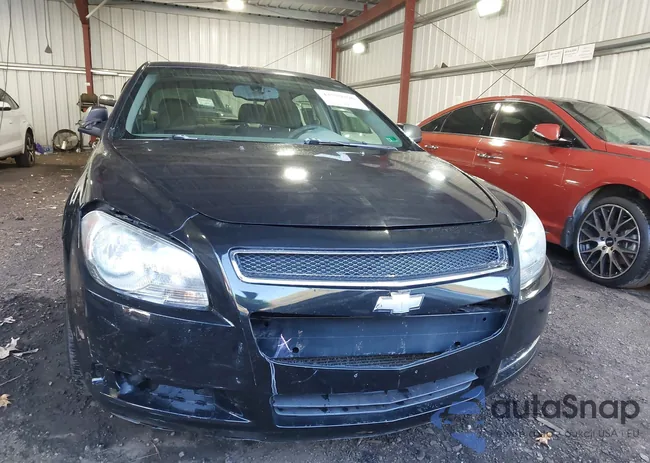 1G1ZB5E16BF251775: 43779396