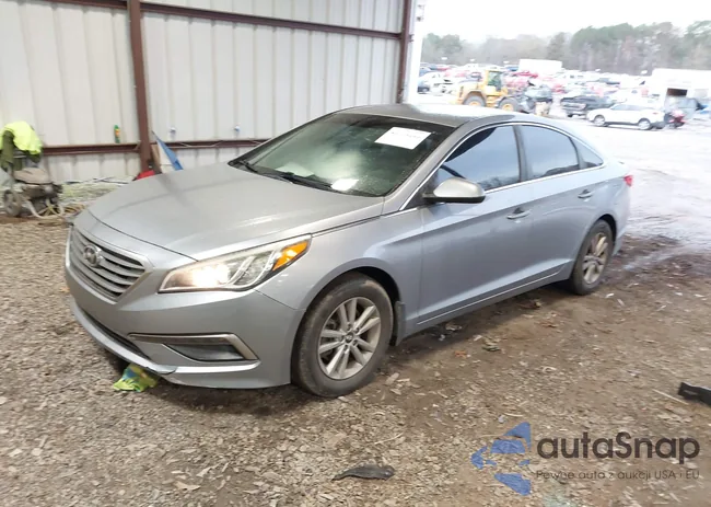 5NPE24AF0FH185544: 43779999