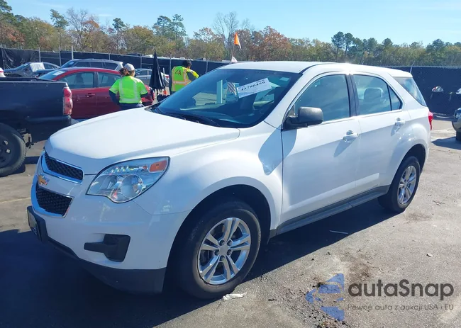 2GNALBEK2D1242176: 43780459