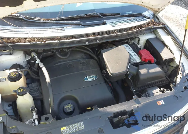 2FMDK3JC9DBA67265: 43782382