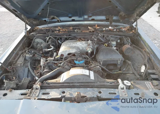 2MEBM74F0KX724293: 43782499