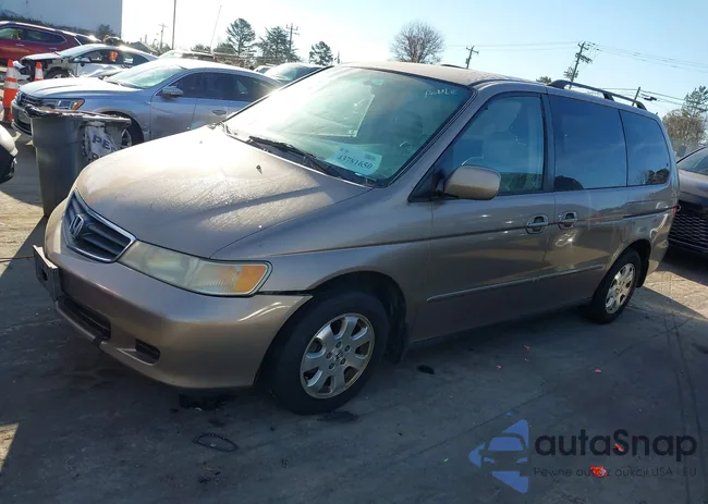 5FNRL189X4B036387: 43781650