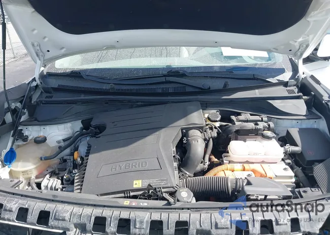 KNDCE3LC9N5531214: 43781867