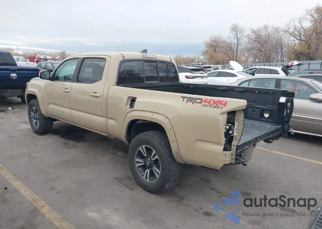 3TMDZ5BN7GM001781: 43784528