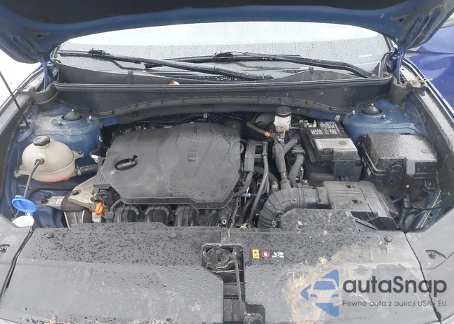 5NMJBCAE2PH176844: 43785165