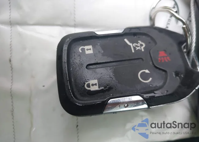 3GKALPEG1RL110490: 43785173