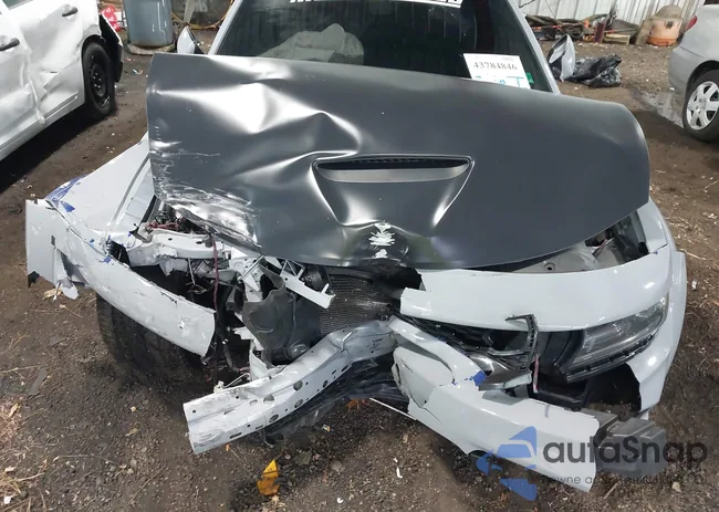 2C3CDXGJ0LH248598: 43784846