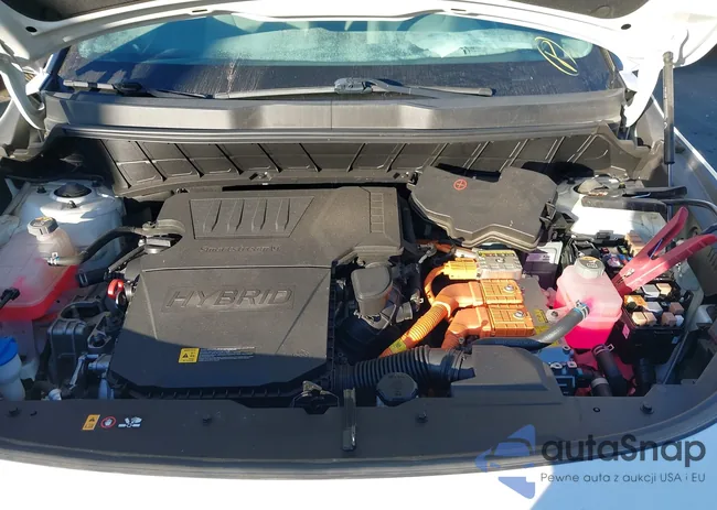 KNDCR3LEXP5043933: 43786076