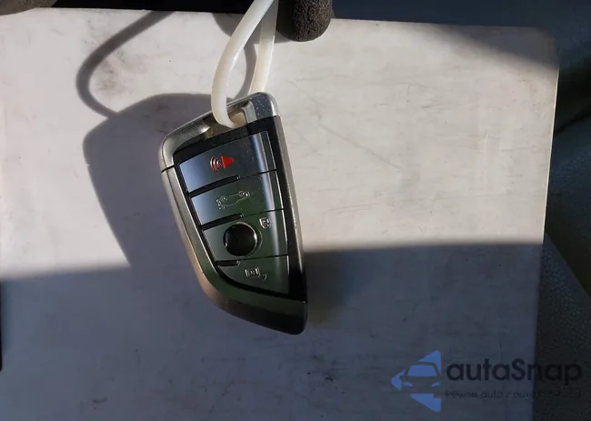 WBA4A9C59GGL88905: 43786443