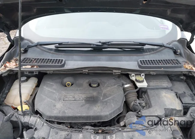 1FMCU9H97DUD71191: 43786549