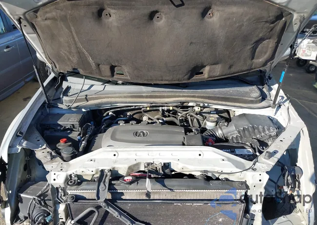 2HNYD2H48BH513256: 43785642