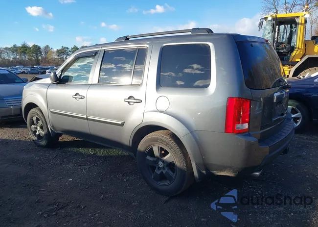 5FNYF4H46AB017260: 43787313