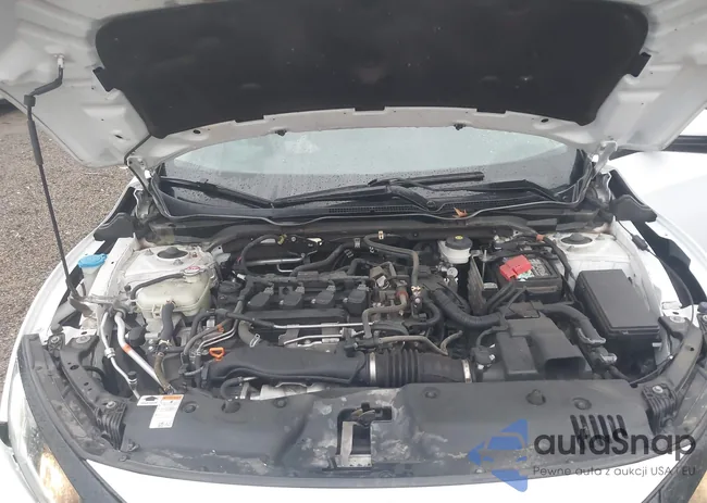 19XFC1F35ME001960: 43787331