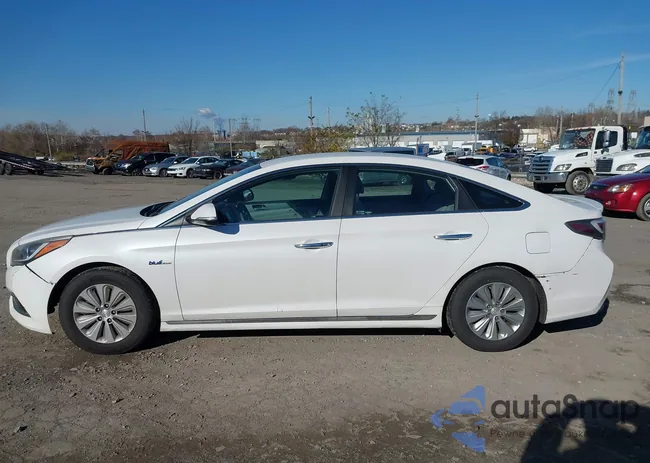 KMHE24L14GA010946: 43786554