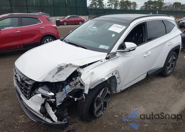 5NMJECDE5RH391639: 43786950