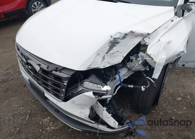 5NMJECDE5RH391639: 43786950