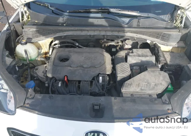 KNDPMCACXH7276766: 43788152