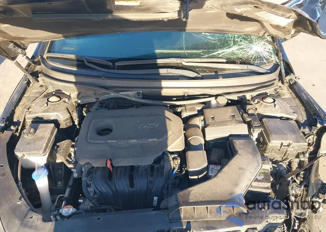 5NPE34AF8KH740053: 43787705