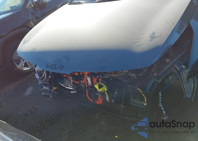 KNDPVDDG4T7305396: 43787864