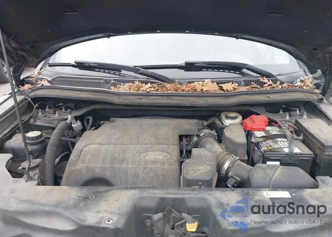 1FM5K7B80EGA01770: 43789054