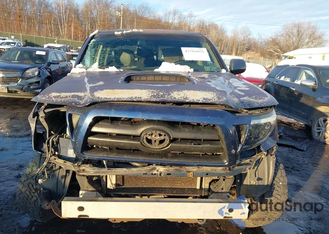 5TEMU52N75Z134328: 43789056