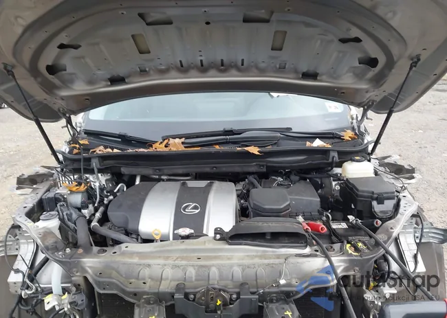 2T2HZMDA7MC305876: 43789171