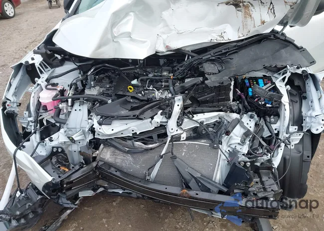 7MUAAAAG9SV149564: 43788735