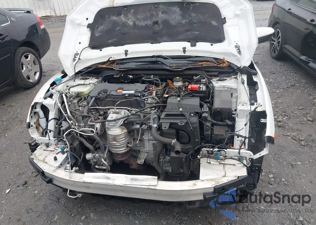 2HGFC2F65KH560850: 43788931