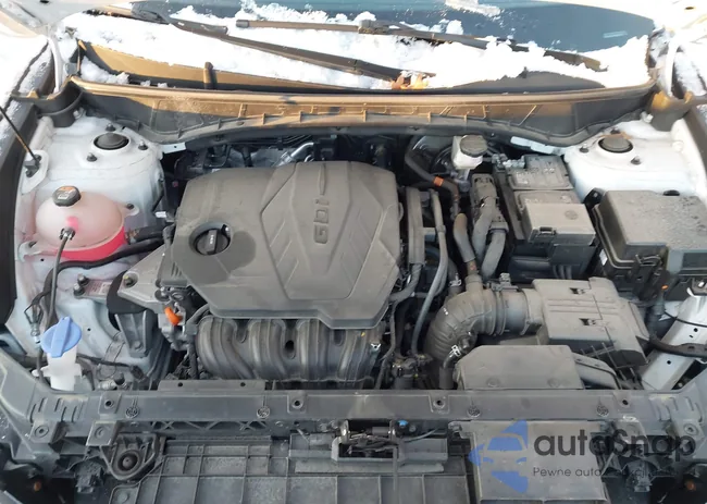 5NMJBCAE0PH211557: 43790018