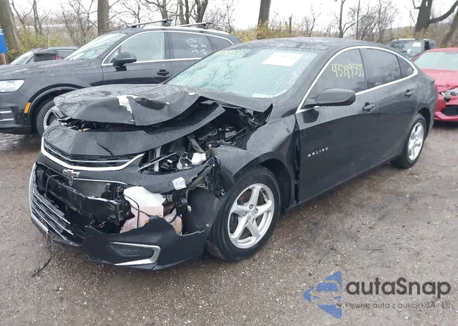 1G1ZB5ST2JF288004: 43789553