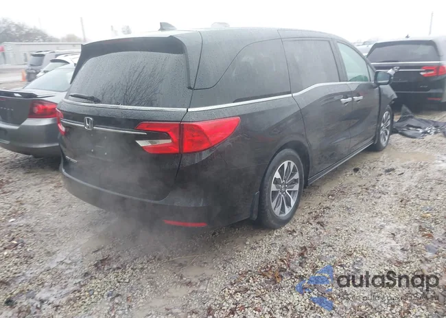 5FNRL6H76NB066337: 43789926