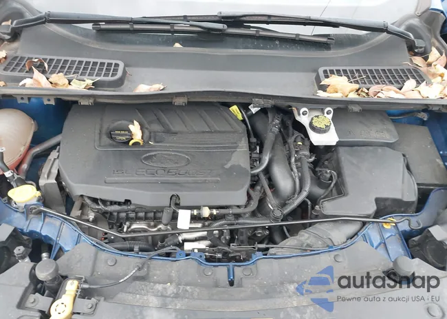 1FMCU0GD0HUC61865: 43791317