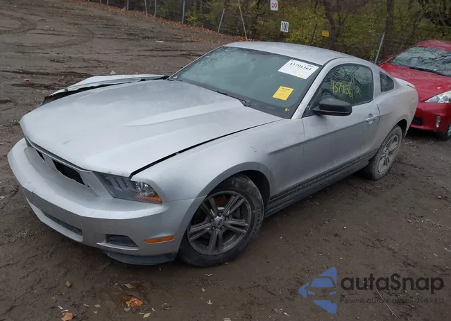 1ZVBP8AM9C5287833: 43791361